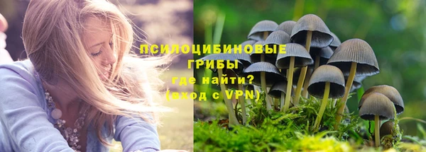 a pvp Краснотурьинск