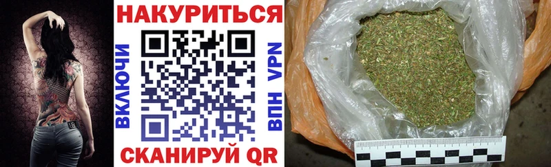 Бошки марихуана гибрид  блэк спрут как войти  Волгодонск 